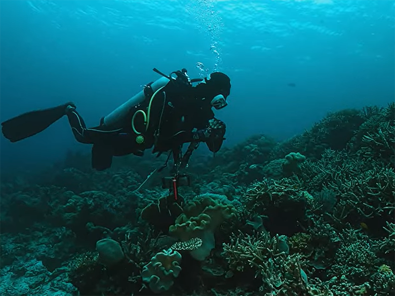 china diving tank