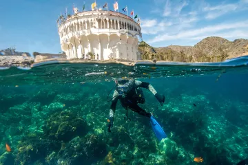 Búvárkalauz Catalina-szigetre