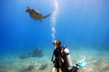 Búvárkalauz Mauiban, Hawaiin, kezdőknek és haladó búvároknak
