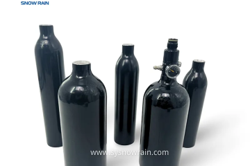 Sicherheitsprüfung und Leistungswartung des PCP-Zylinders