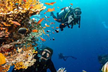 Quali fattori bisogna considerare nella scelta di una bombola d'aria per immersioni subacquee?
