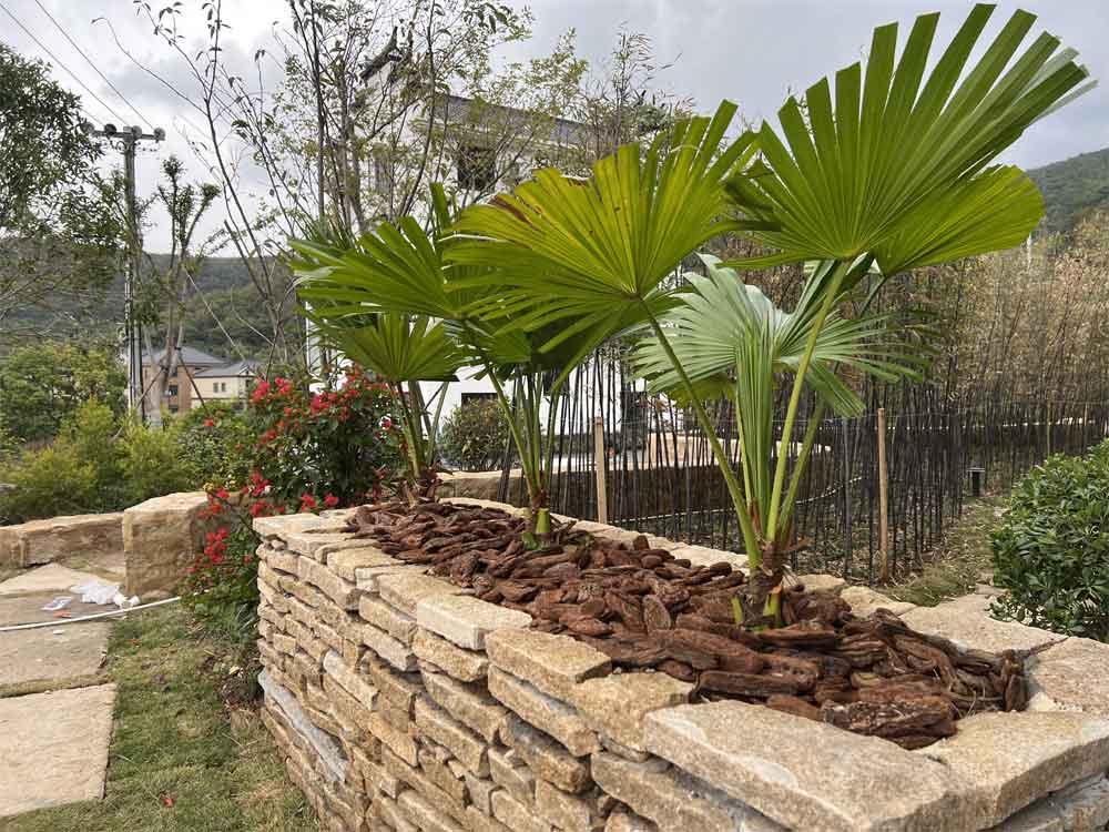 pine bark mulch for garden