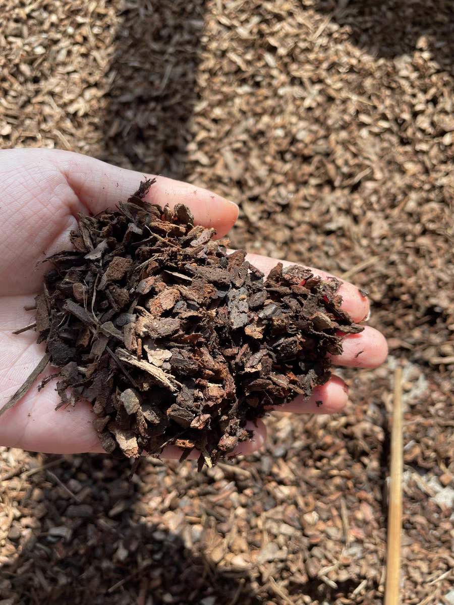 fine pine bark mulch