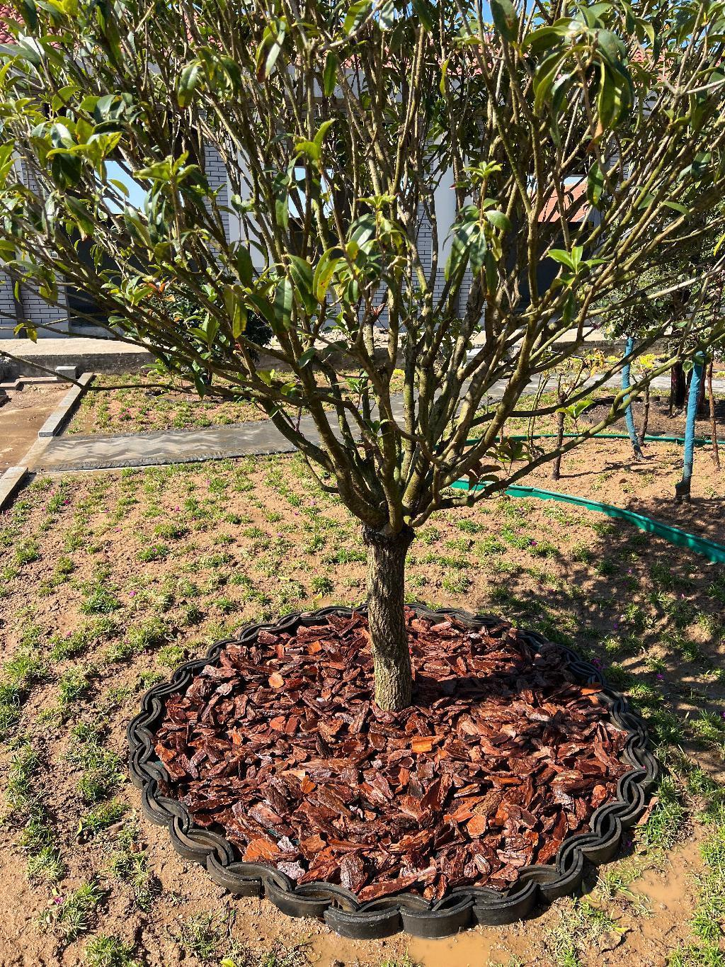 pine bark chunk mulch