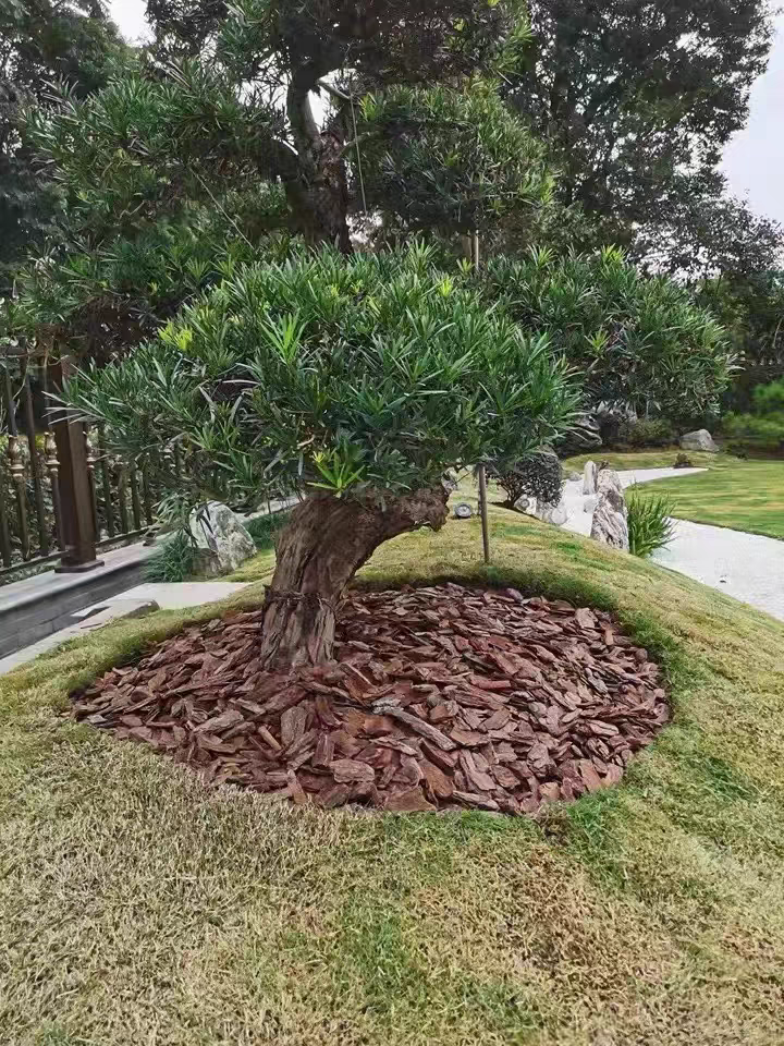 pine bark nuggets in garden