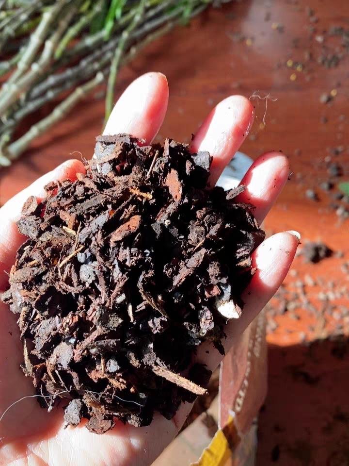 pine bark compost