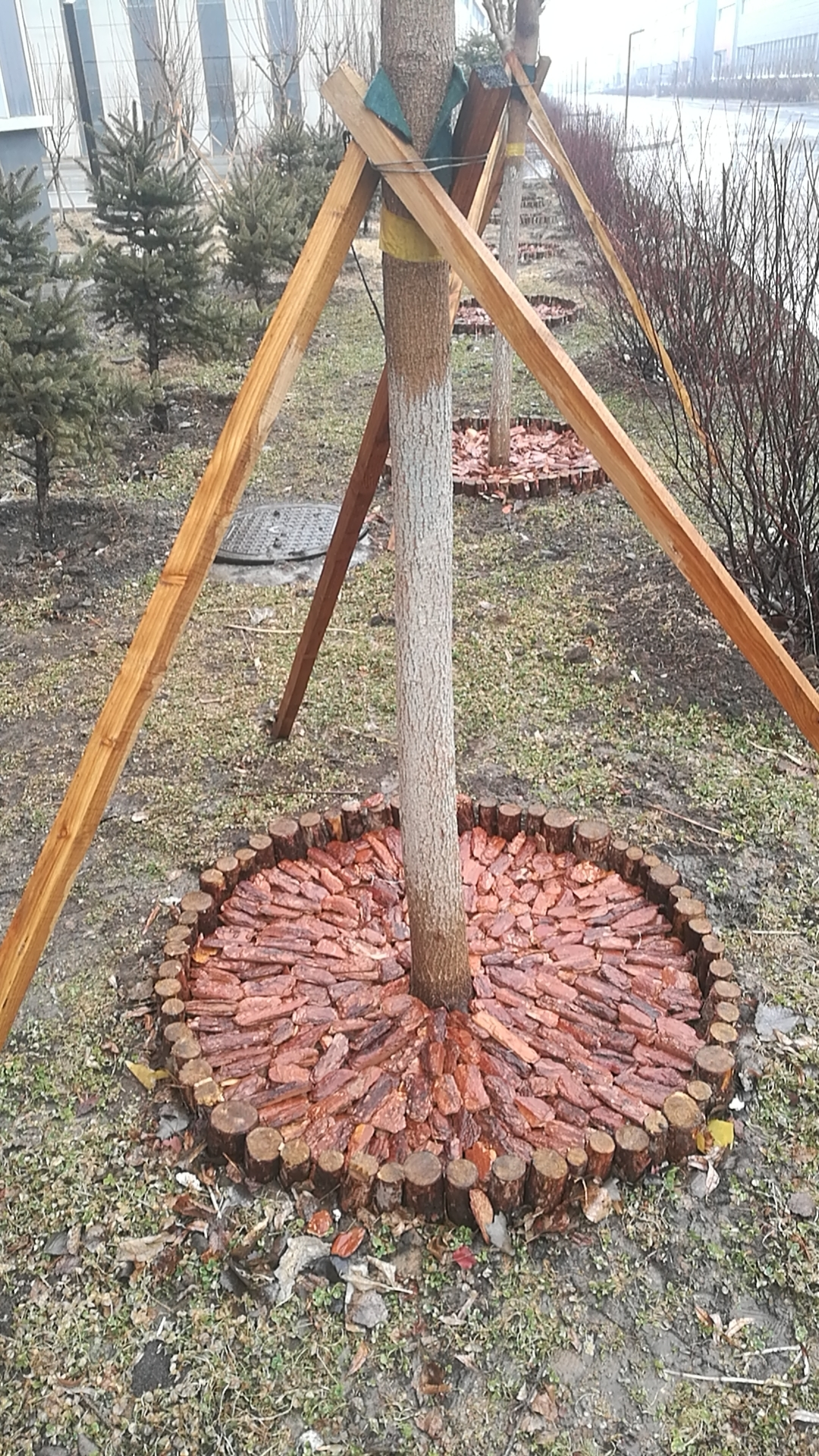 natural pine bark nuggets