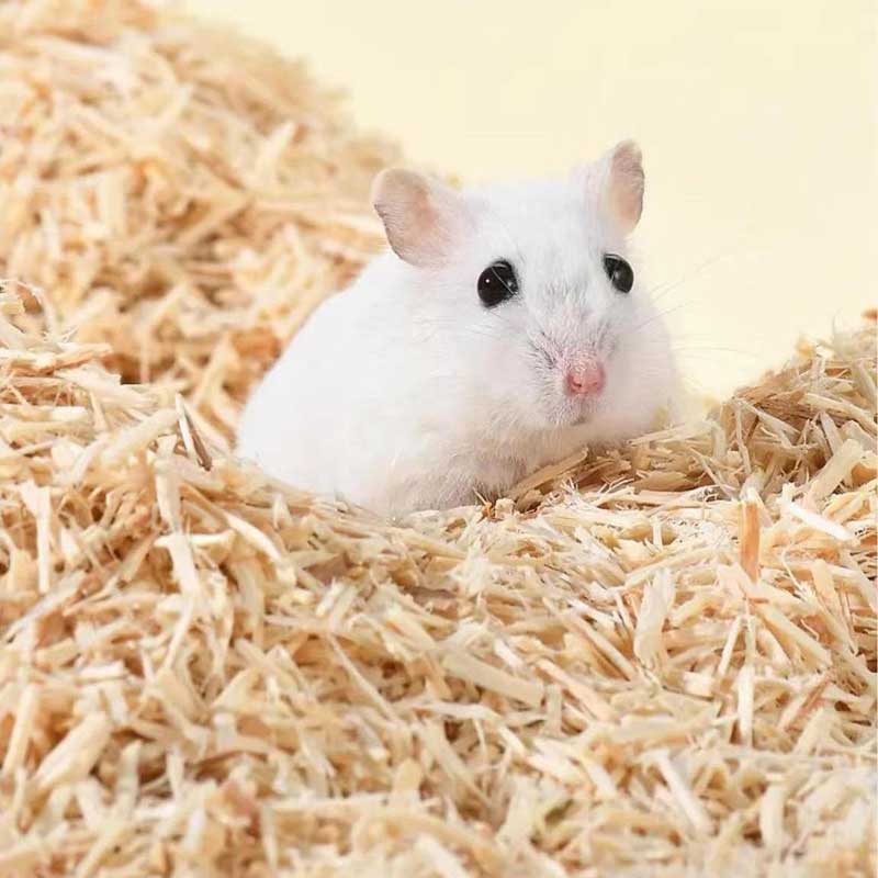 Hamster Natural Poplar Wood Bedding