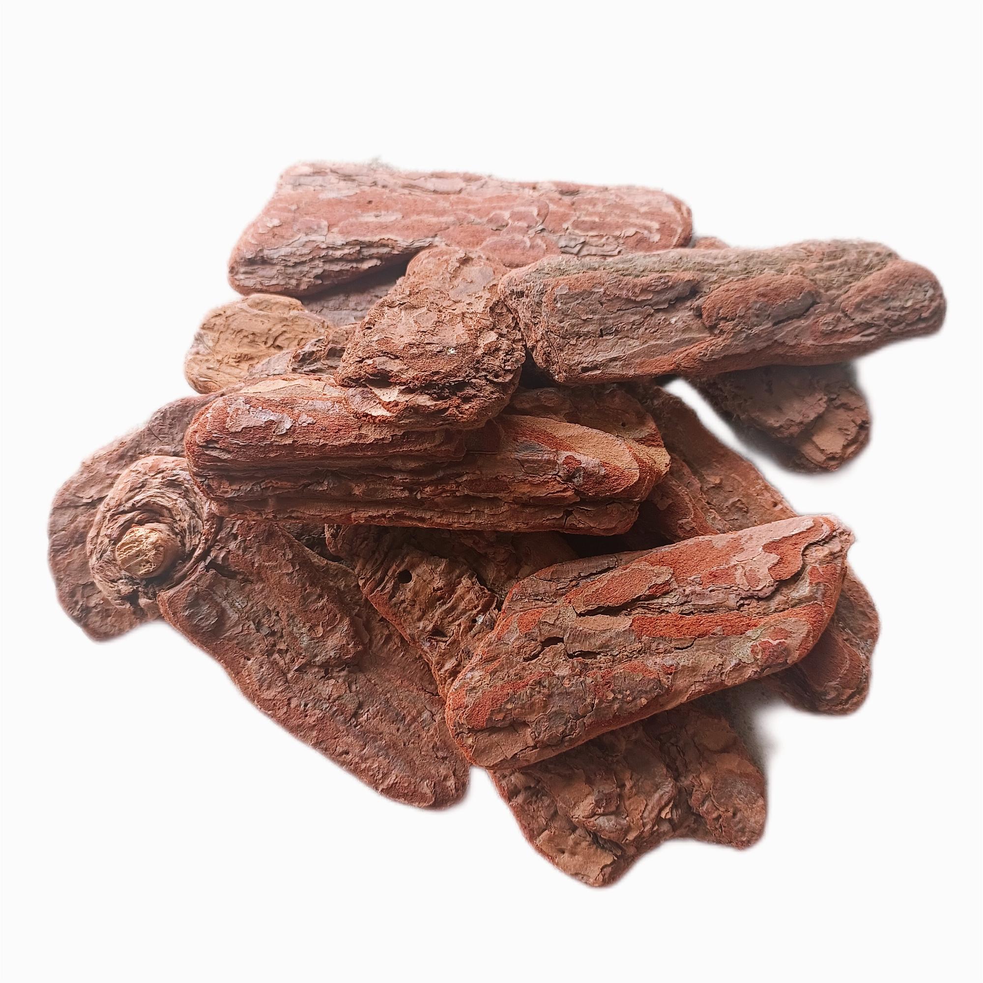 Natural Mini Forest Pine Bark Nuggets