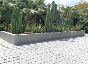 G654 Landscape Porject