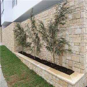 New Jura Beige Limestone Wall Cladding From China