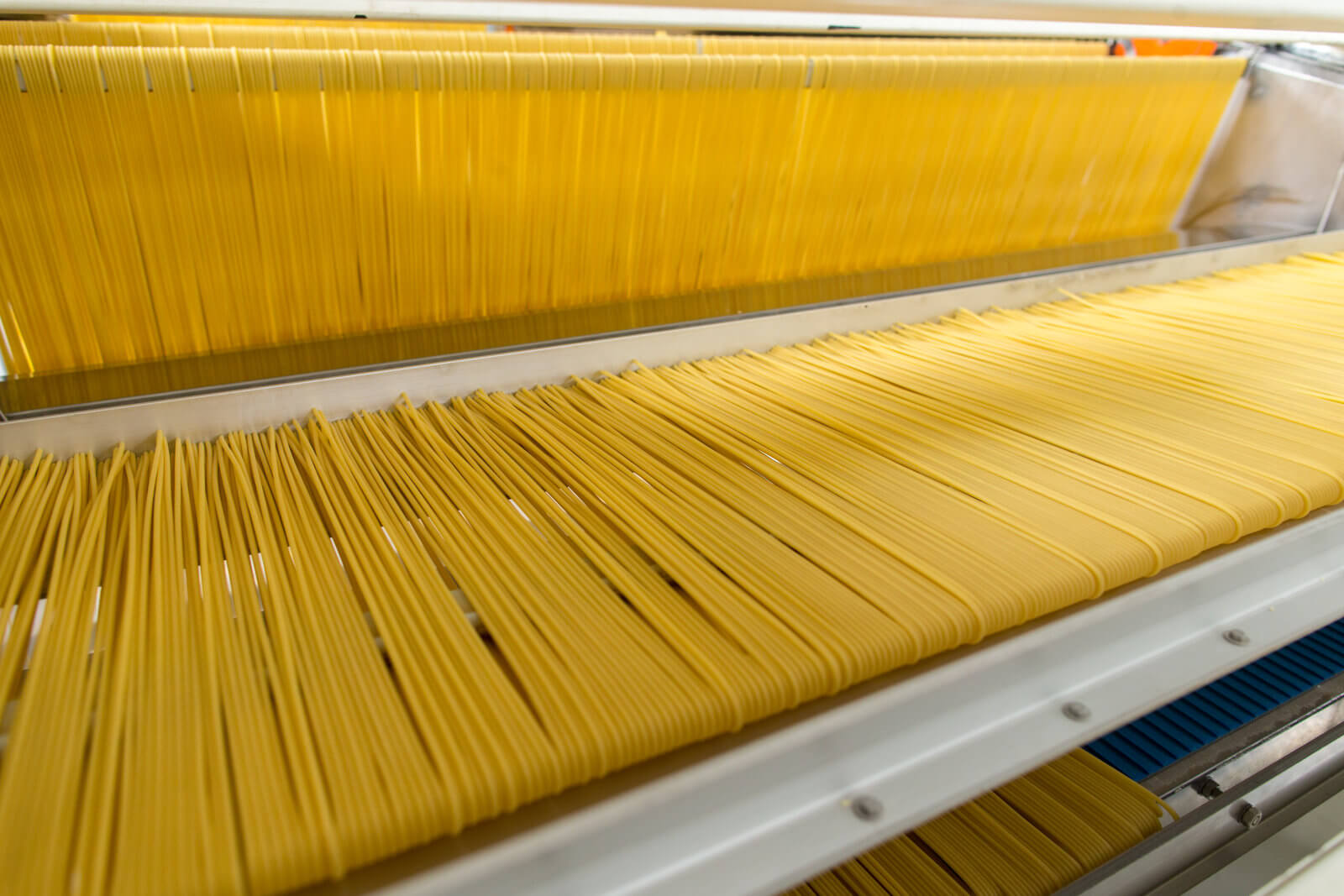 spaghetti packaging machine