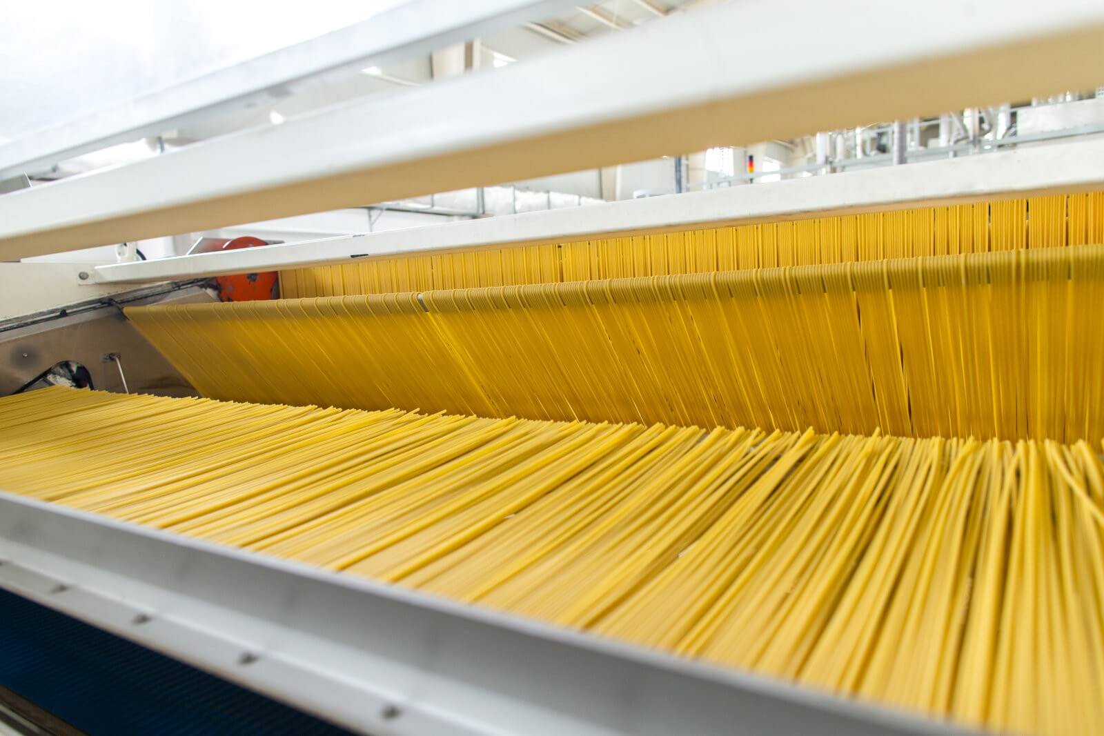 Fully automatic production line for spaghetti