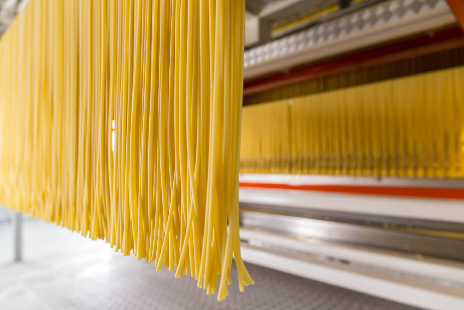 spaghetti packaging machine