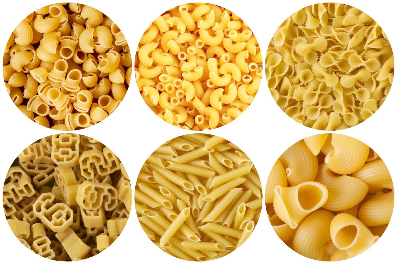 macaroni production line