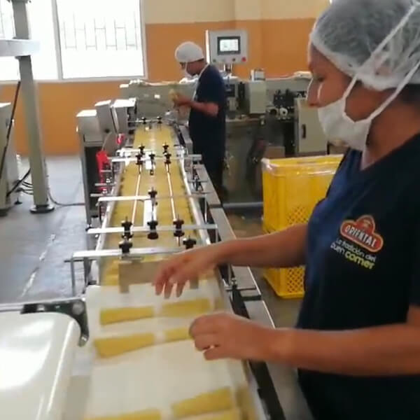 Noodle Production Line Real Customer Application Scenarios