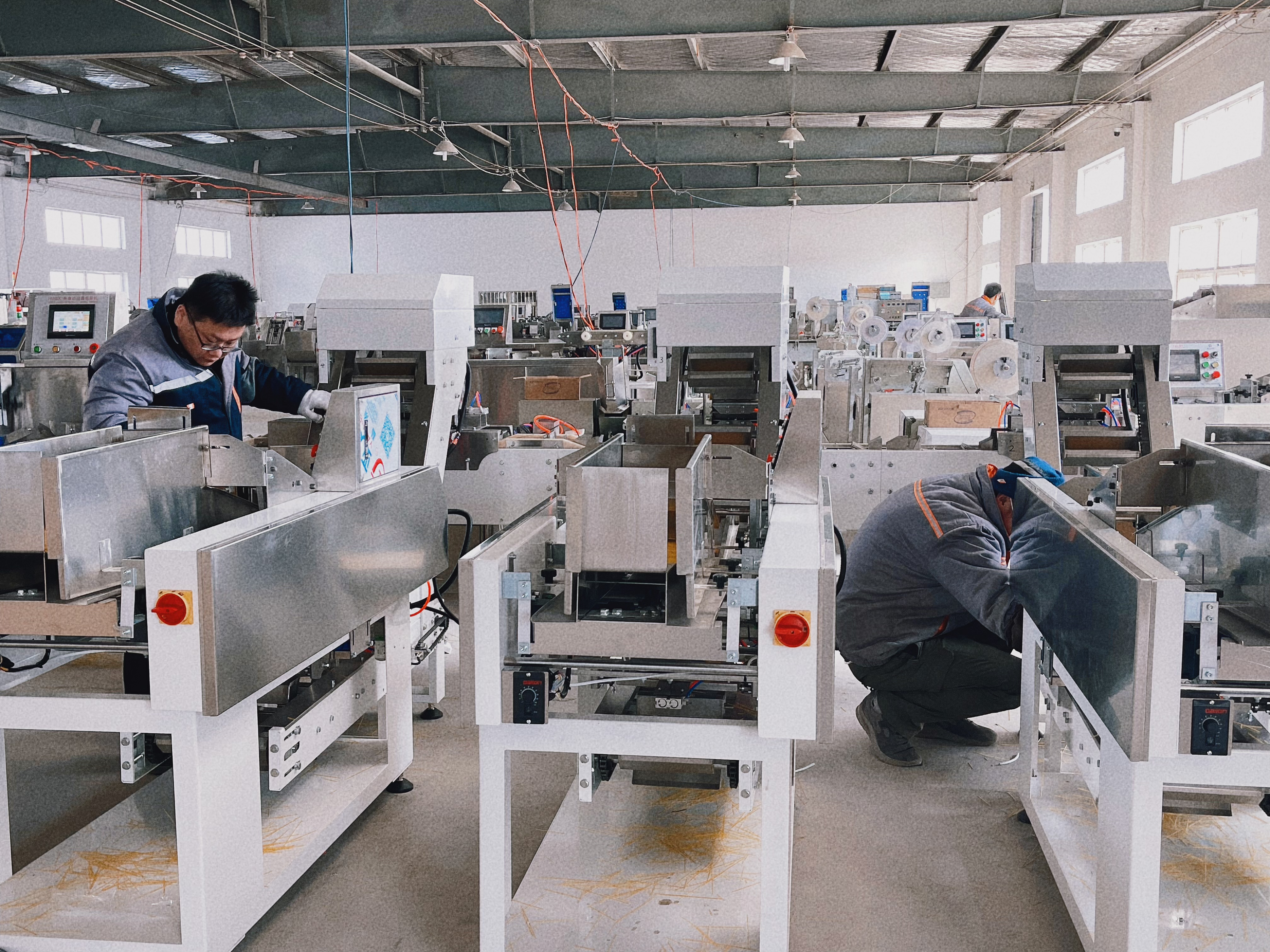 การเตรียมการก่อนการจัดส่งของผู้ผลิตเครื่องบรรจุบะหมี่