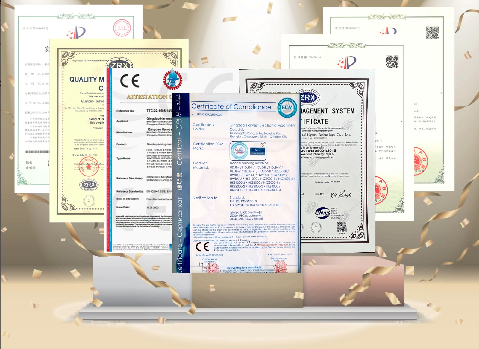 NOODLE PACKING MACHINE