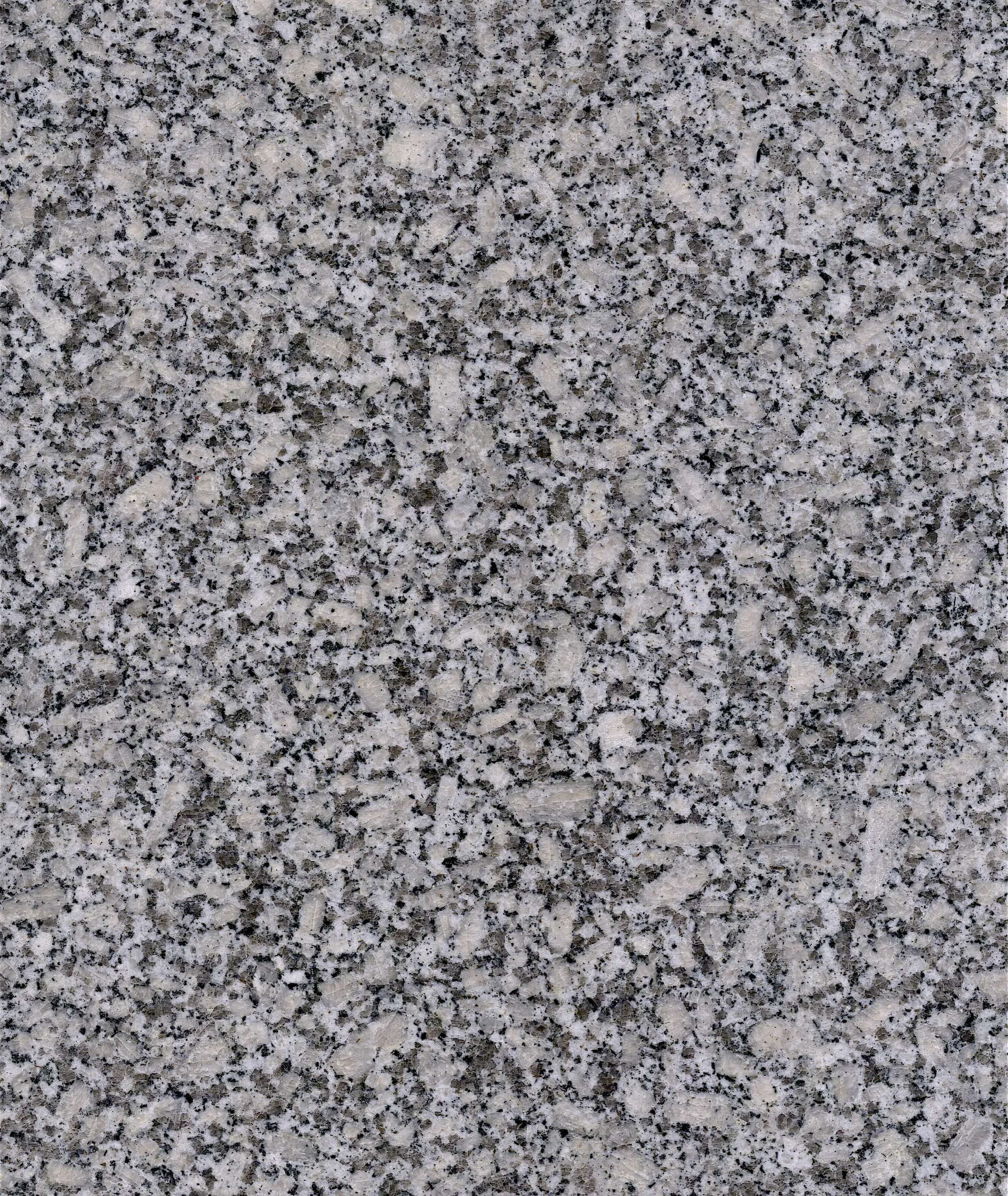 Nouvelle dalle de granit gris Bianco Sardo G602
