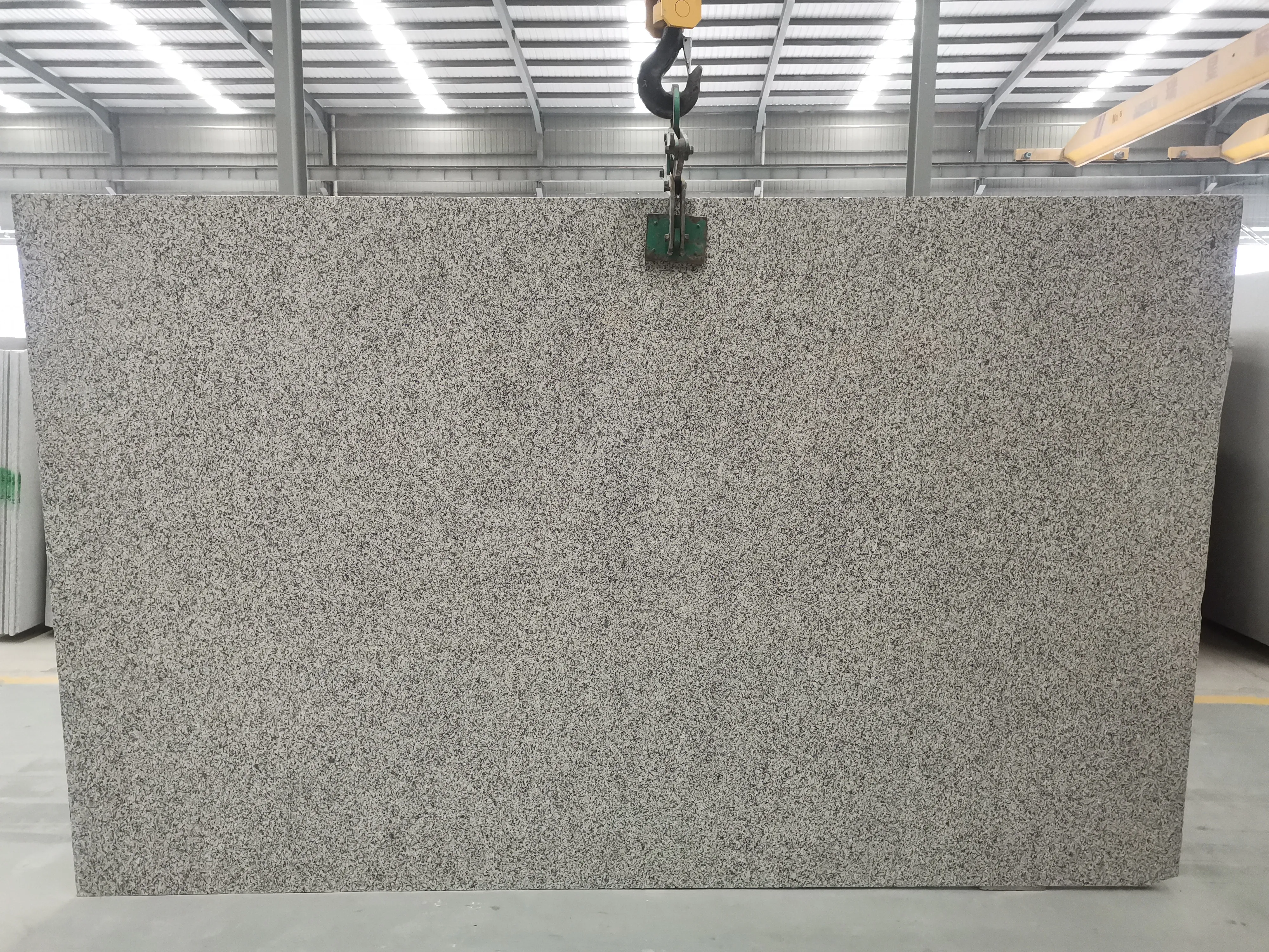Nouvelle dalle de granit gris Bianco Sardo G602