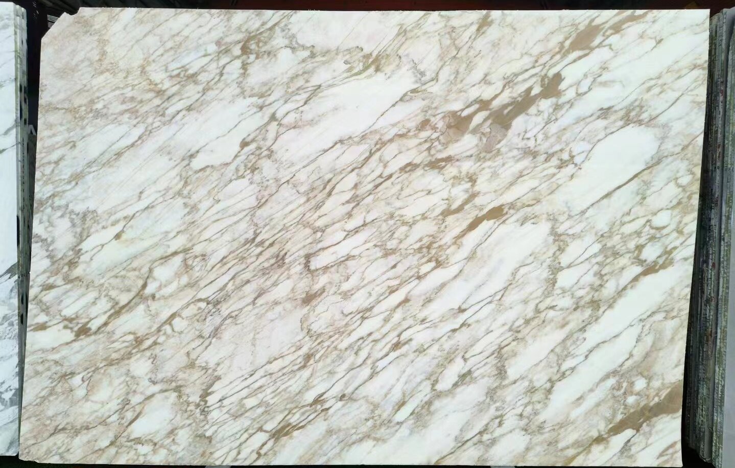 calacatta gold marble slab
