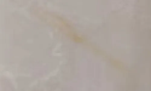 Dalle et carrelage en marbre onyx blanc