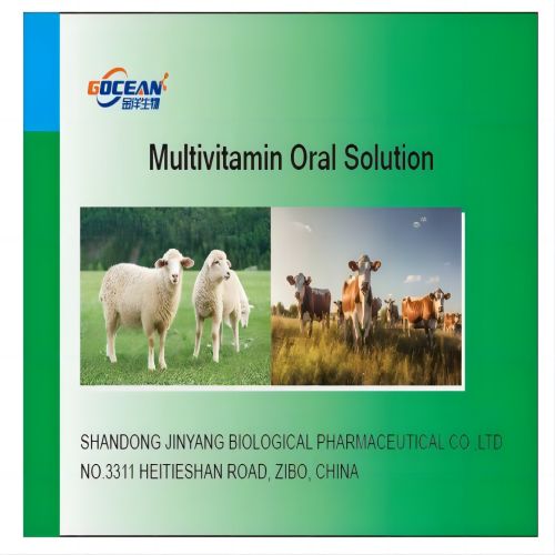 GMP Multivitamin oral solution