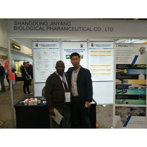 Expoziția din Africa de Sud