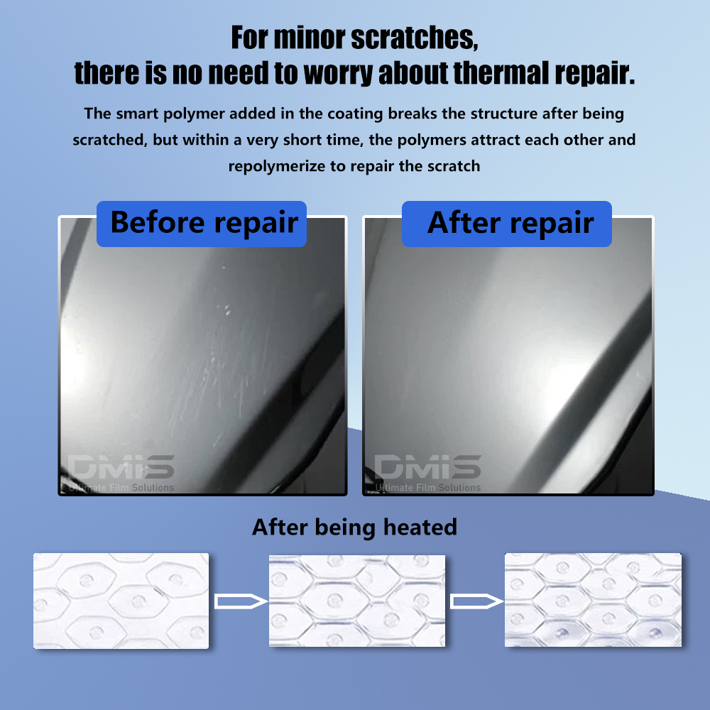 car body fence film