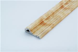 PVC Wood Plastic Low Foaming Decorative line Extrusion Mould