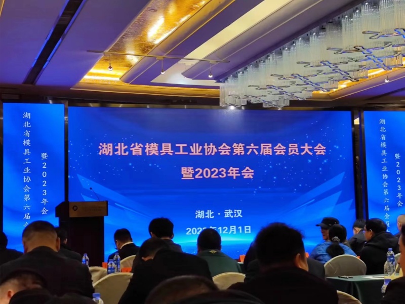Réunion annuelle de l'Association de l'industrie des moules du Hubei
