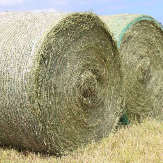 Sekeyte Ürün - Balya Filesi Sarma