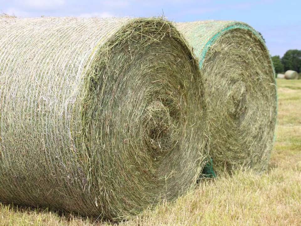 agriculture baling net