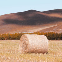 Bale Net wrap 1.23m Round Balers Net Wrap For Crop Baling