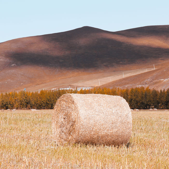 Bale Net wrap 1.23m Round Balers Net Wrap For Crop Baling