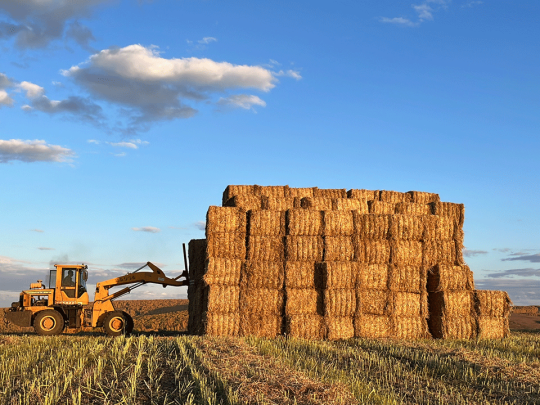 Plan global de vânzări