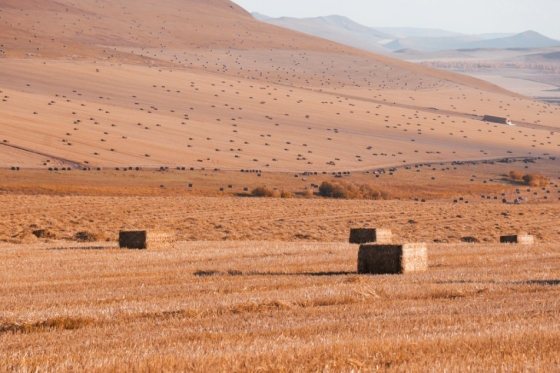 STRONGER BALES, SMARTER CHOICES! SEKEYTE BALER TWINE