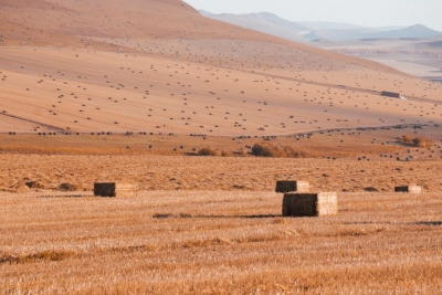 STRONGER BALES, SMARTER CHOICES! SEKEYTE BALER TWINE