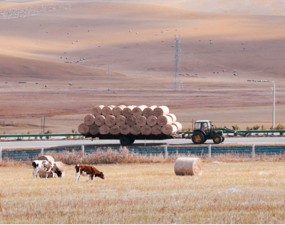 Time to Gear Up for Hay & Straw Harvest!