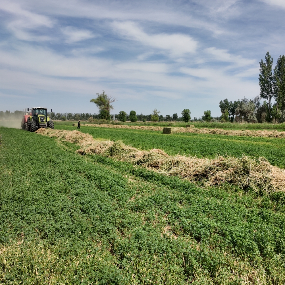 SEKEYTE baler twine