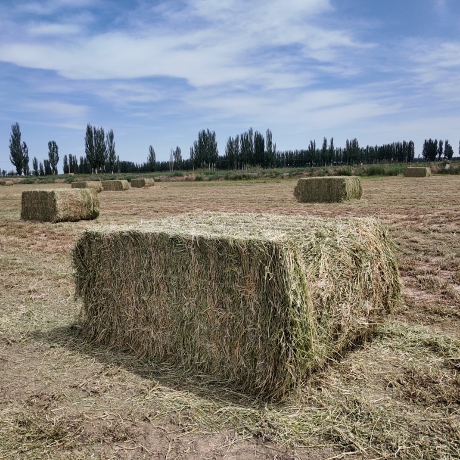 baler twine
