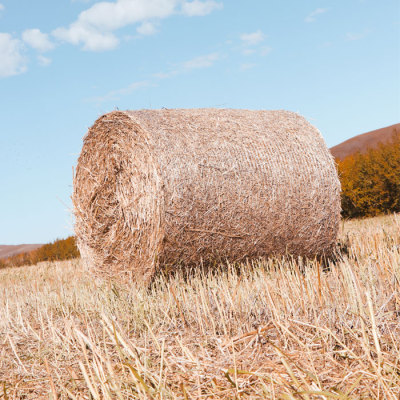 Hay Market in Flux: Quality Twine & Net Wrap Prove Essential Amid 2026 Industry Shifts