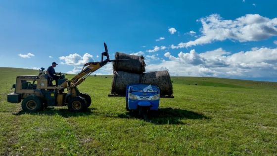 Bale Twine & Net Industry Accelerates Green Upgrade