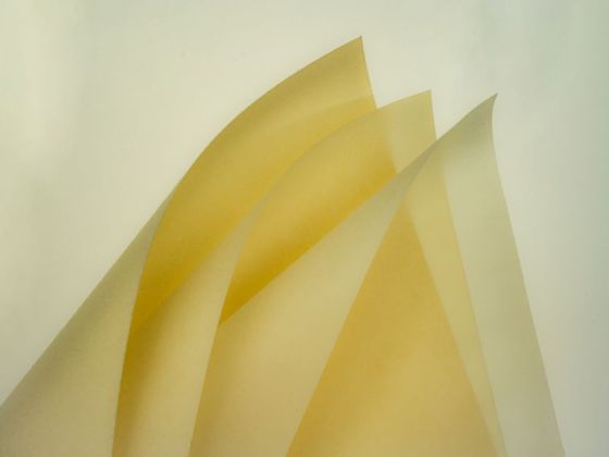 Superior Material Engineering: Saxobran's Uniform Distribution Wet-Laid Process PPS Fiber Veil