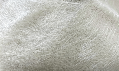 transportation tissue