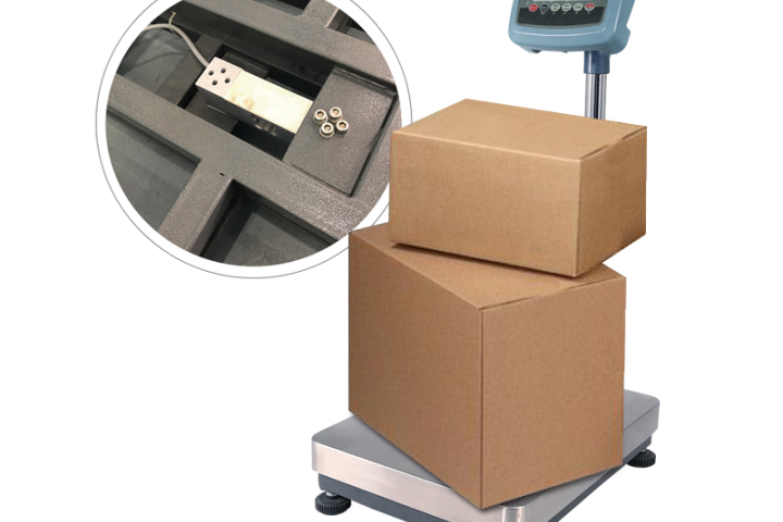 Why Do Electronic Scales Fail in Harsh Environments?