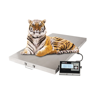 Pet Scale With Large Platform