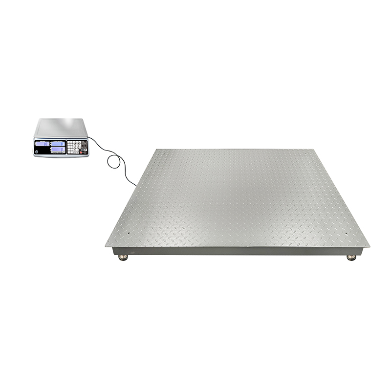 Dual platform electronic scale