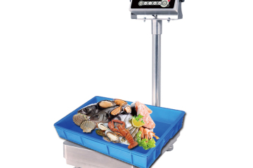 What is the difference between platform scale and floor scale?