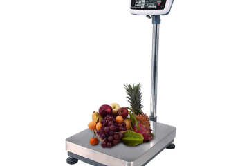 What does the scale display [-0L -] mean?